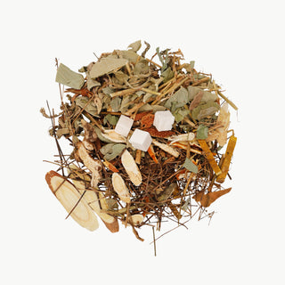 T01: Kidney Cleanse Herbal Tea