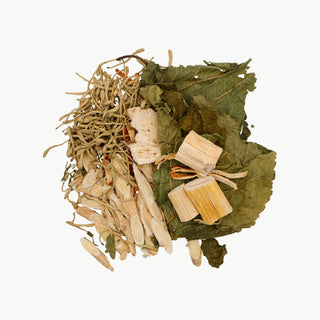 T19: Immune Defense Herbal Tea